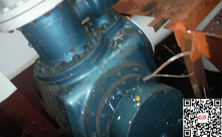 雙(shuang)螺杆泵(beng)