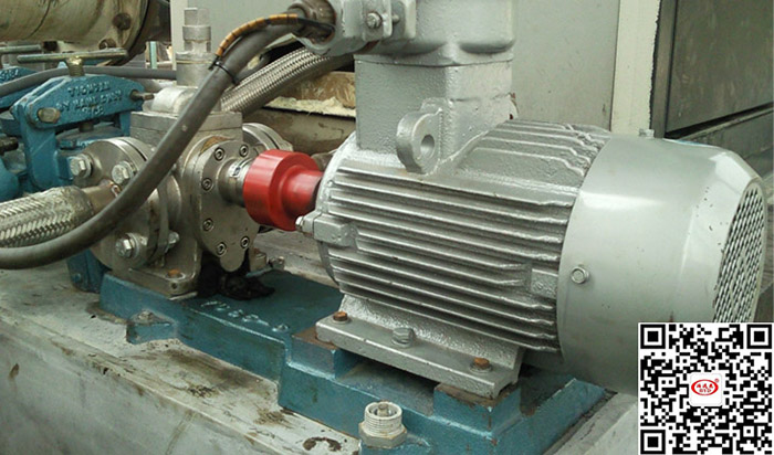 不(bú)鏽鋼齒(chǐ)輪泵